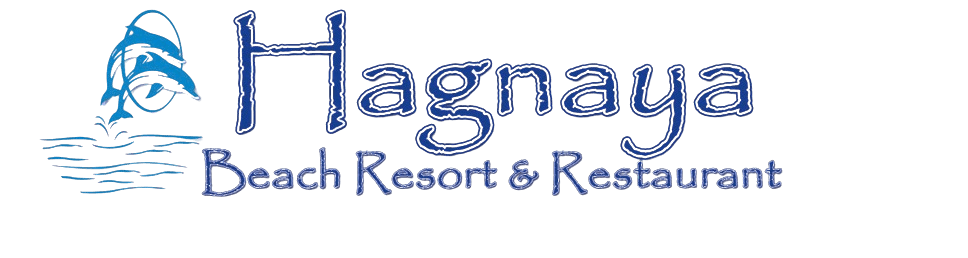 Hagnaya ResortOS icon